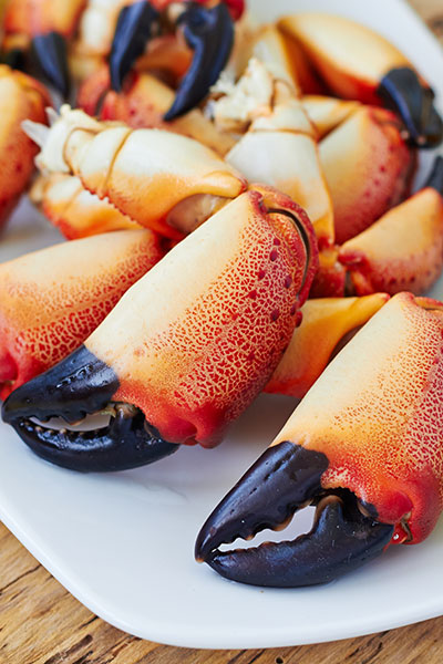 Sustainable Stone Crabs are Here!